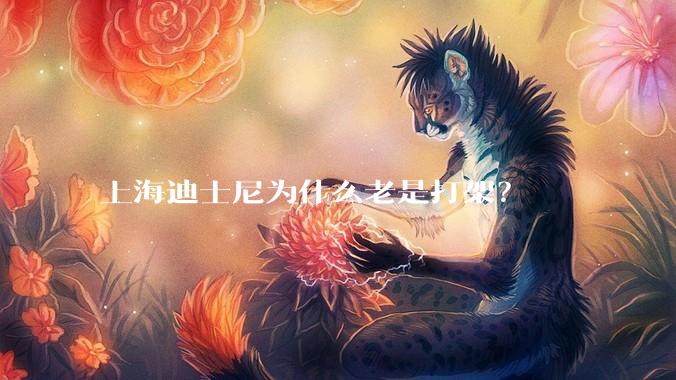 上海迪士尼为什么老是打架？