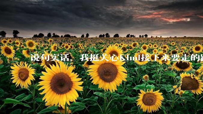 说句实话，我挺关心Kimi接下来要走的路_模型_行业_产品