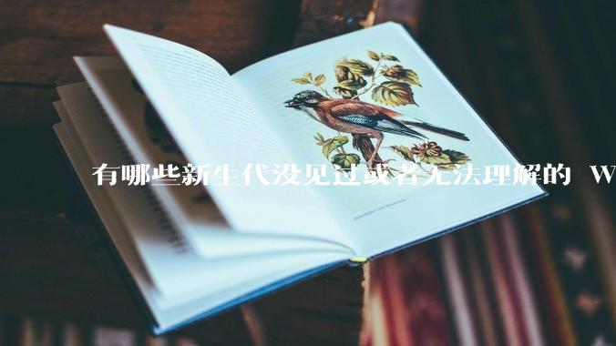有哪些新生代没见过或者无法理解的 Windows 95/98 时代的事情？