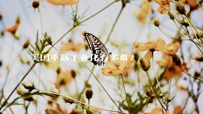 美国重新工业化有多难？