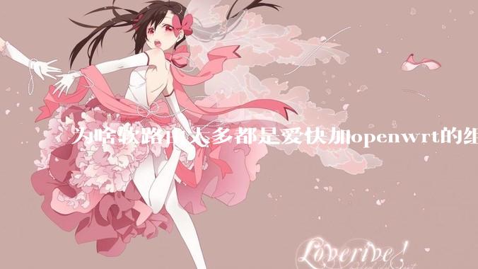 为啥软路由大多都是爱快加openwrt的组合，单openwrt有什么缺点嘛？